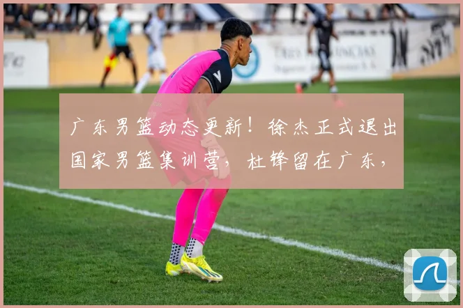 广东男篮动态更新！徐杰正式退出国家男篮集训营，杜锋留在广东，胡明轩付出全部，朱芳雨积极操作_网易订阅
