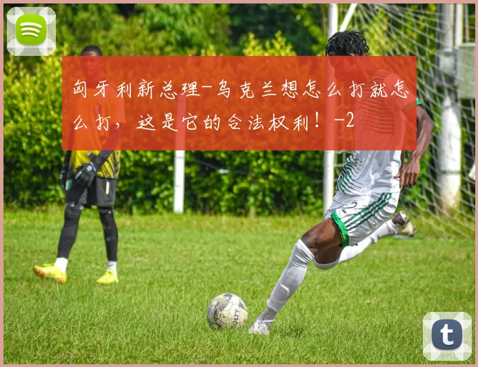 匈牙利新总理-乌克兰想怎么打就怎么打，这是它的合法权利！