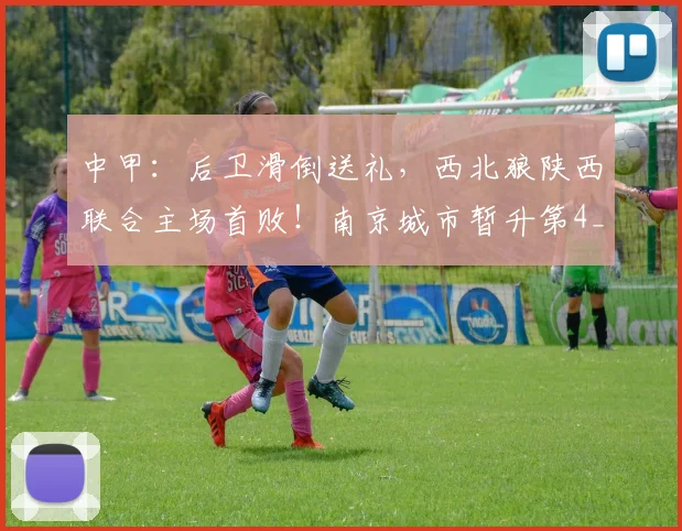 中甲：后卫滑倒送礼，西北狼陕西联合主场首败！南京城市暂升第4_网易订阅