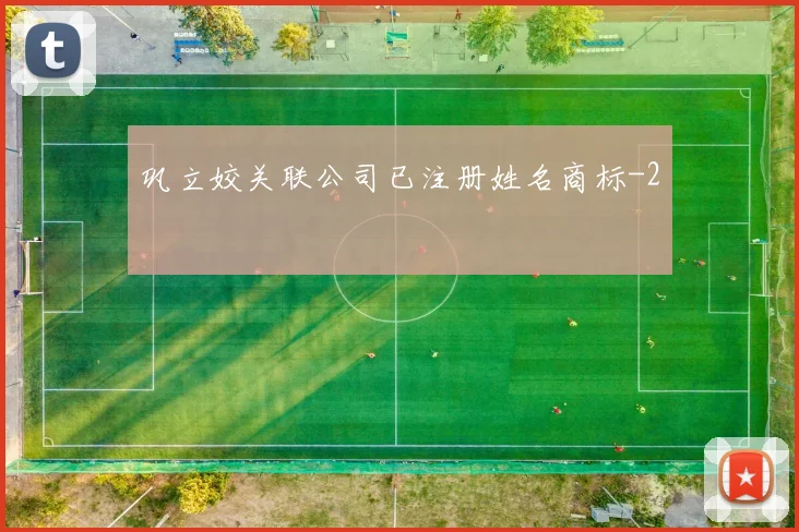 巩立姣关联公司已注册姓名商标