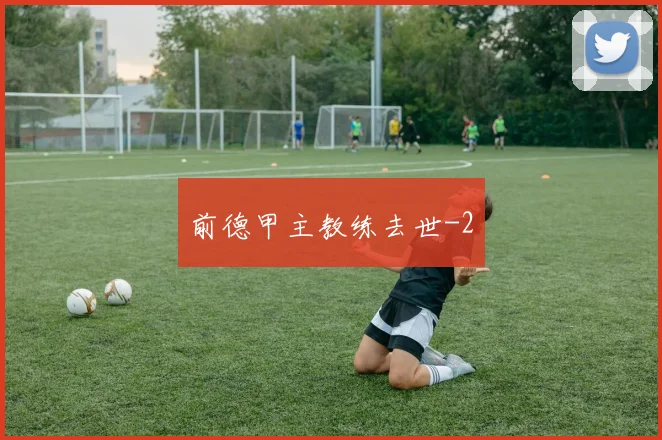 前德甲主教练去世